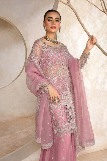Rang Rasiya Chatoyer Formal`24 D#09 NATASHA
