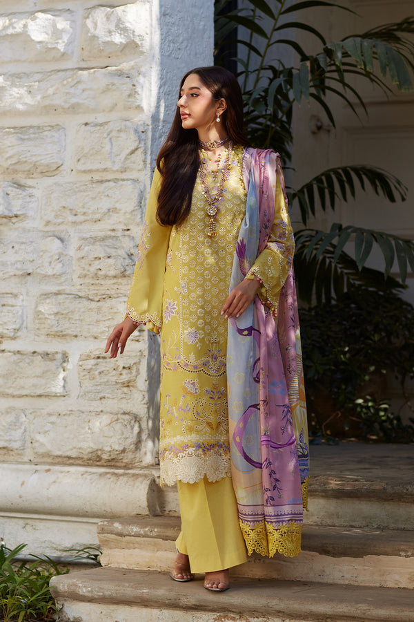 Mina Hasan Chikankari 2025 Ayla