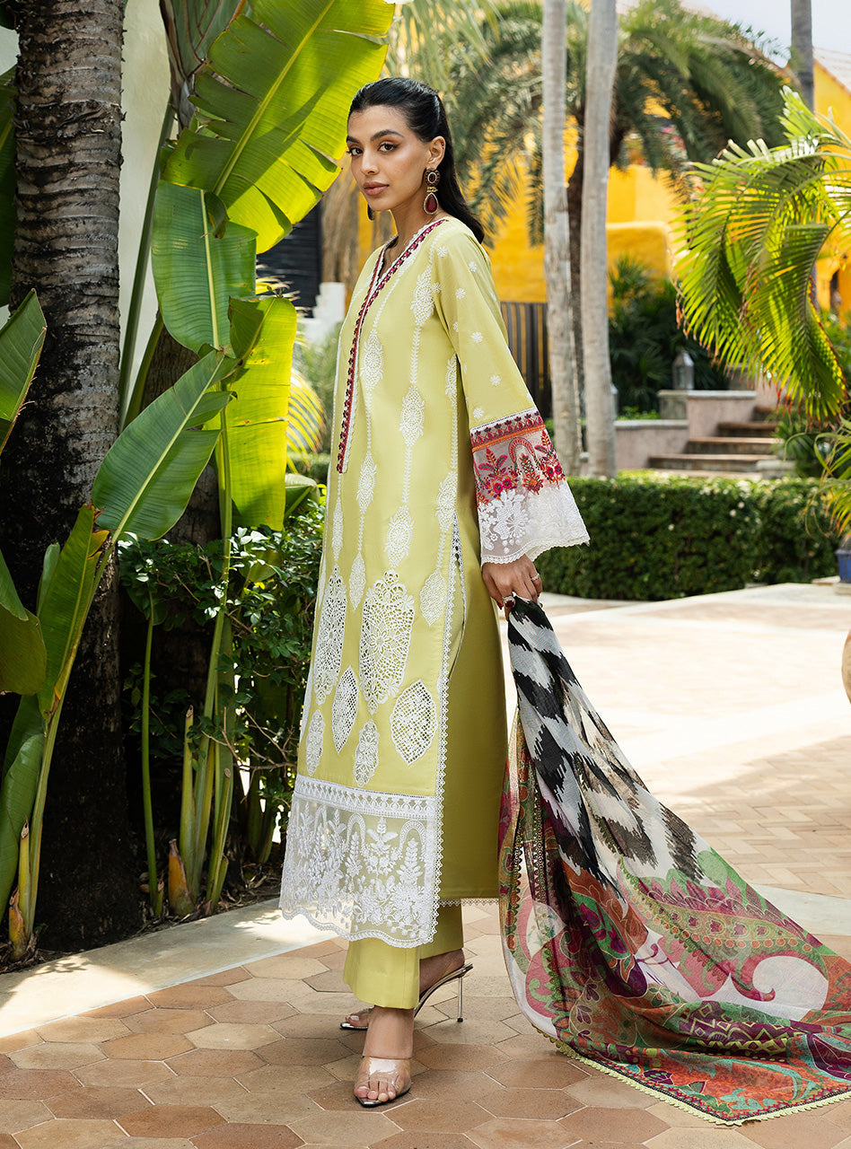 Zainab Chottani Chikankari`25 D#12-A
