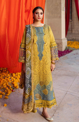 Al-Zohaib BANDHANI C/Kari Lawn`25 D#08