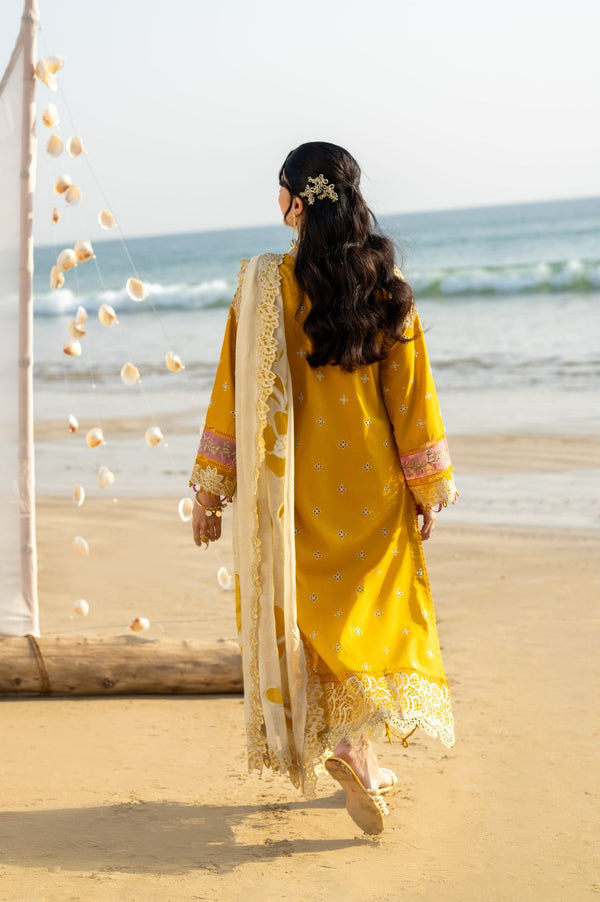 Aabyaan Saagar L/Lawn`25 AS#05