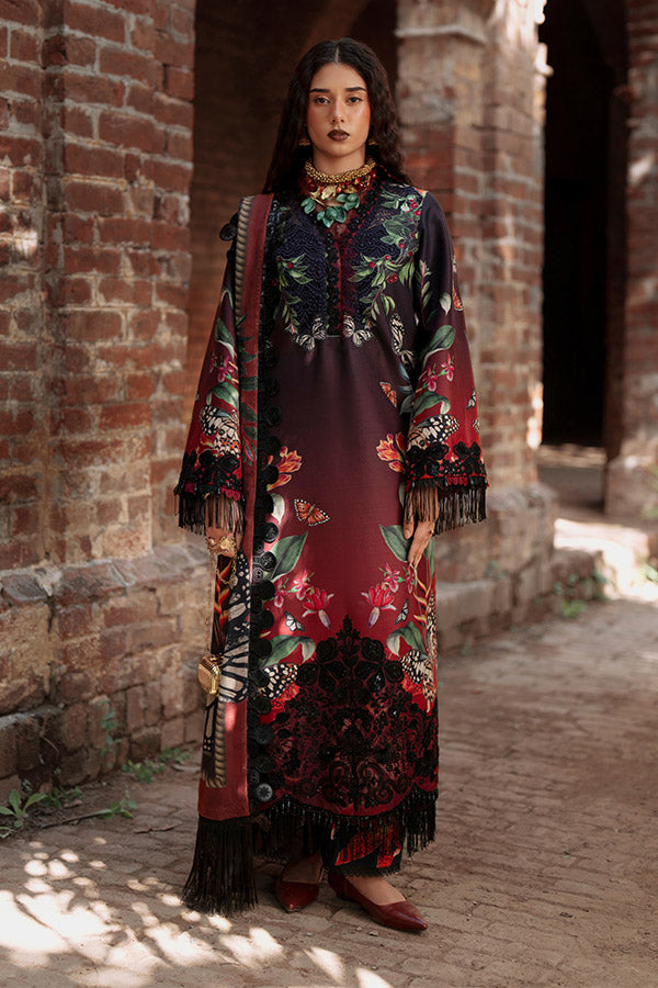 AJR SARD SHAM Winter`25 AJRW#06 AARAISH