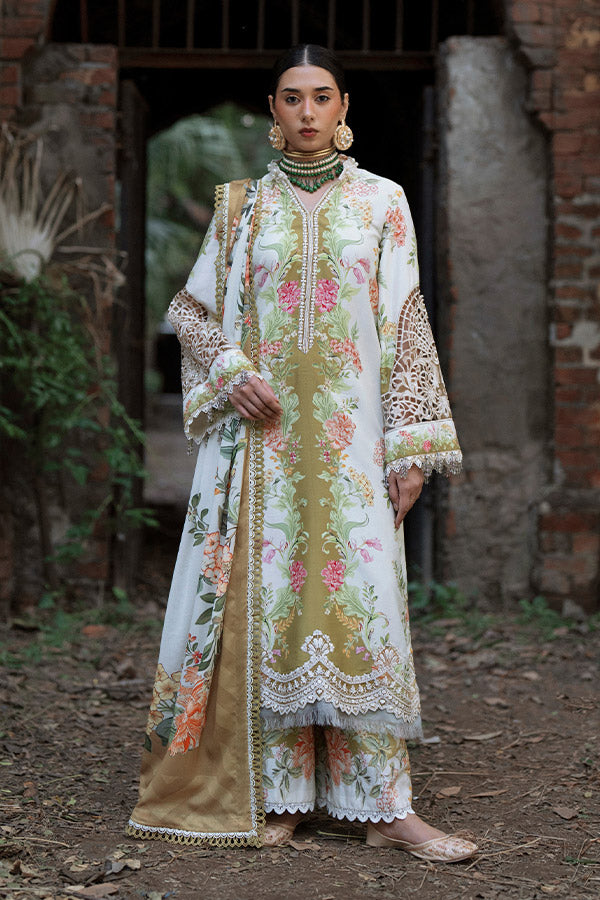 AJR SARD SHAM Winter`25 AJRW#08 GULRUKH