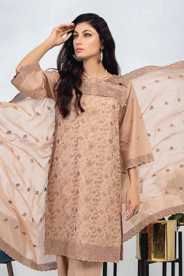 Aalaya Bareeze P/Lawn`22 Vol-3 D#07