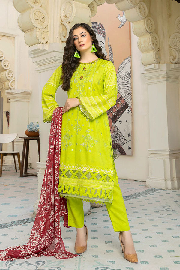 Ain Alif DP/Linen'23 (Vol-263) D#3