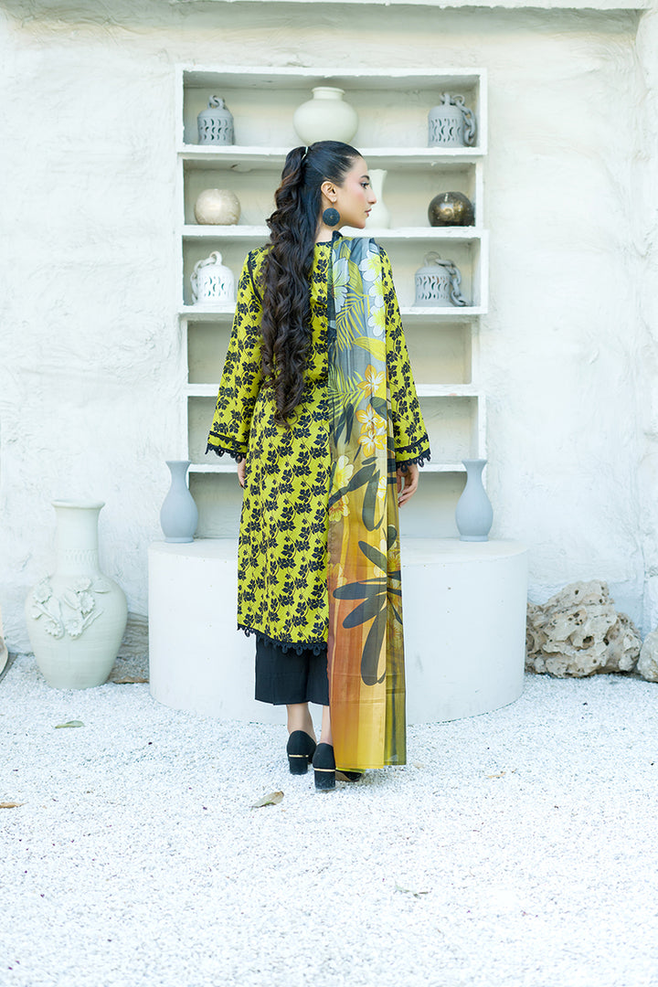 Banafsheh Sarang Lawn`25 BN#315