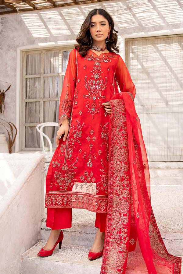 BR Shehnai Fancy Emb Organza`24 D#05