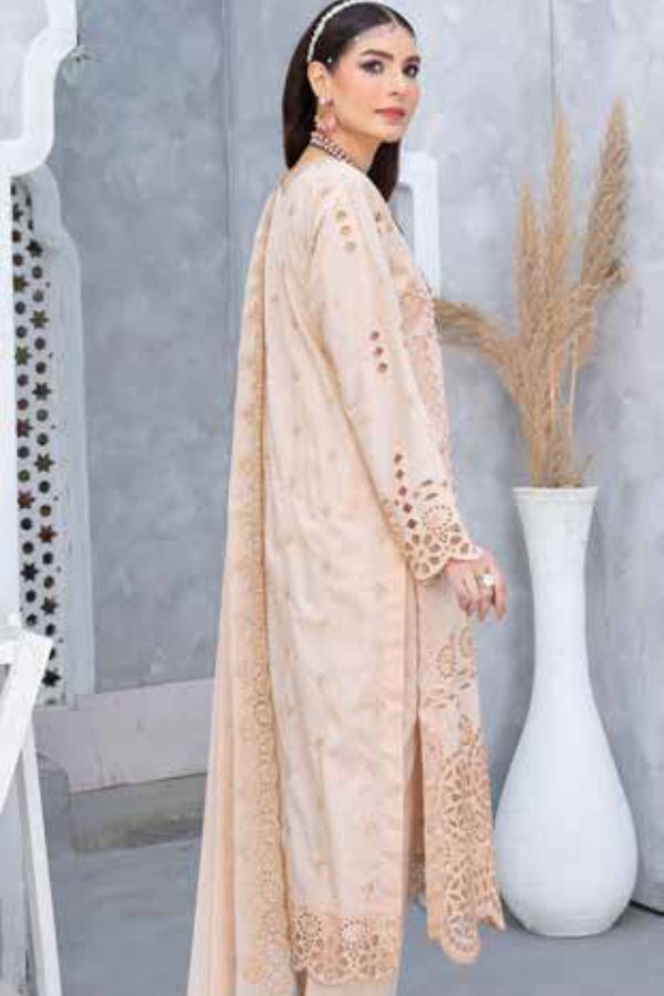 BR Afsanay C-Kari Lawn'24 D#02