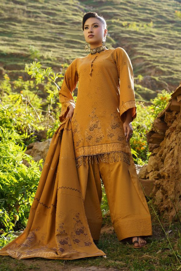 BR Anarkali J-Viscose`25 D#10