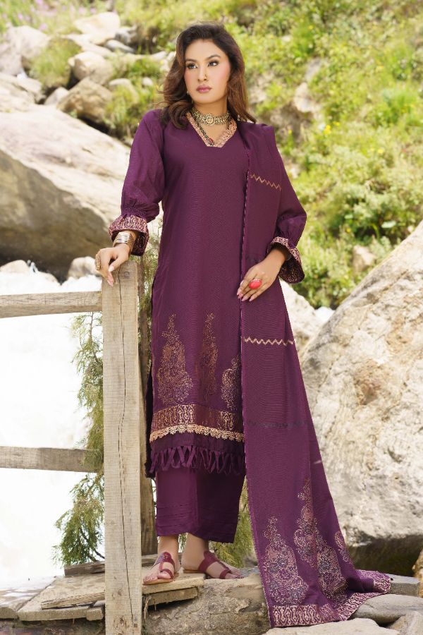 BR Anarkali J-Viscose`25 D#01