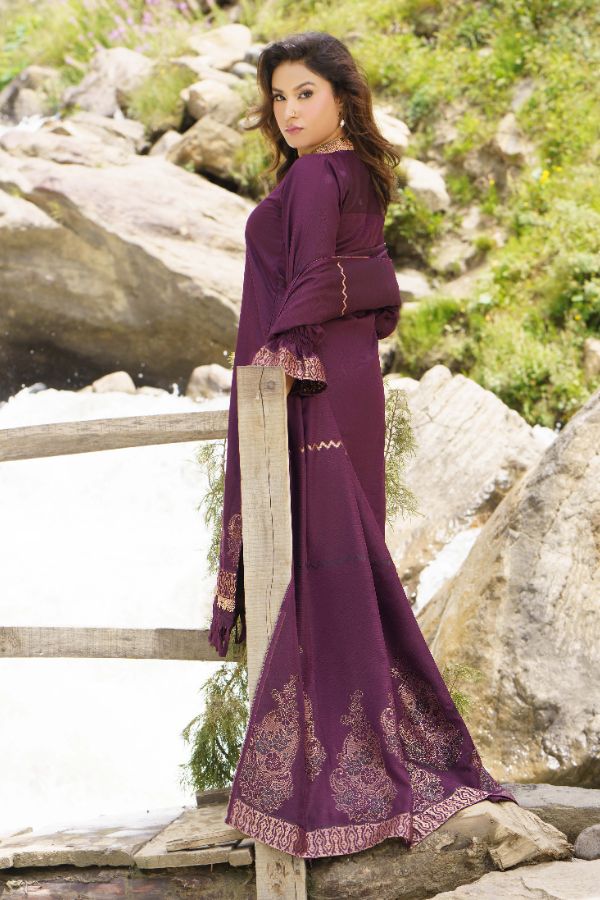 BR Anarkali J-Viscose`25 D#01