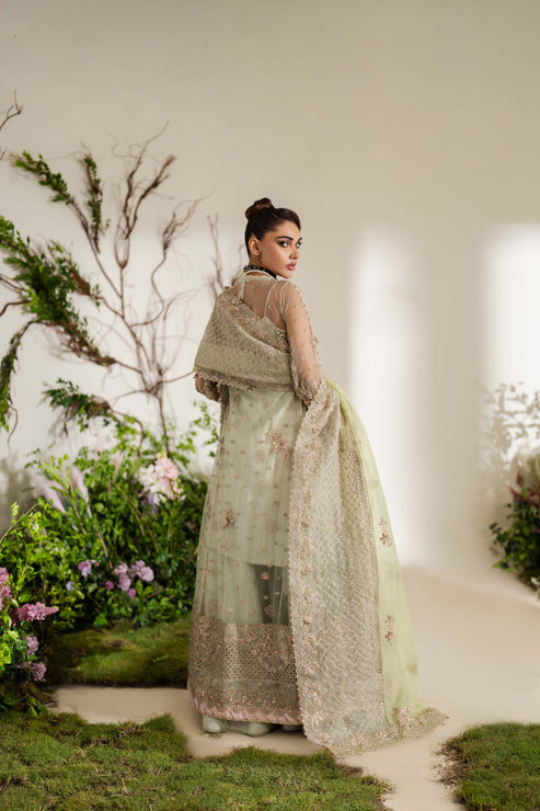 Zoya & Fatima Reem Festive'24 (Sania)
