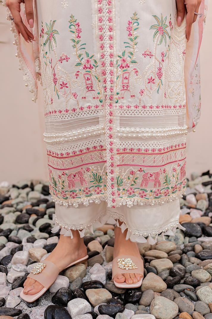Zoya & Fatima Aman L/Lawn`24 (ISRA)