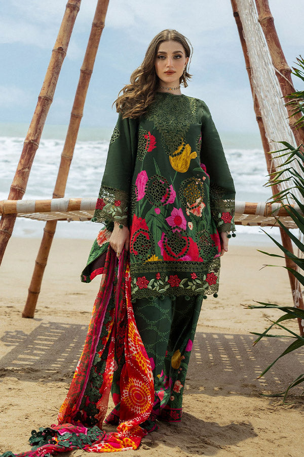 Naqsh O-Opulence Winter`25 D#167