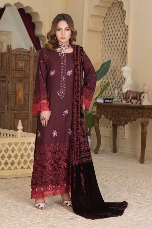 Noor Jahan Republic V/Shawl`25 D#2