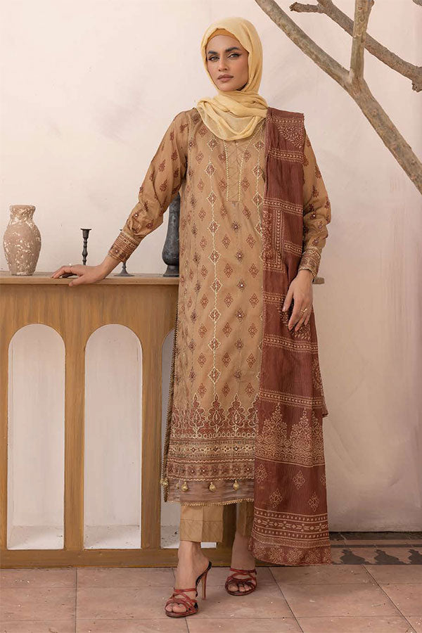 RA Gul-e-Zarki Crocus Lawn`25 D#13