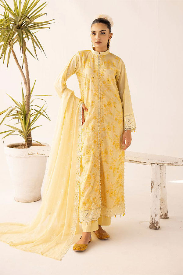 RA Mahees Shenaai Lawn'24 D#7