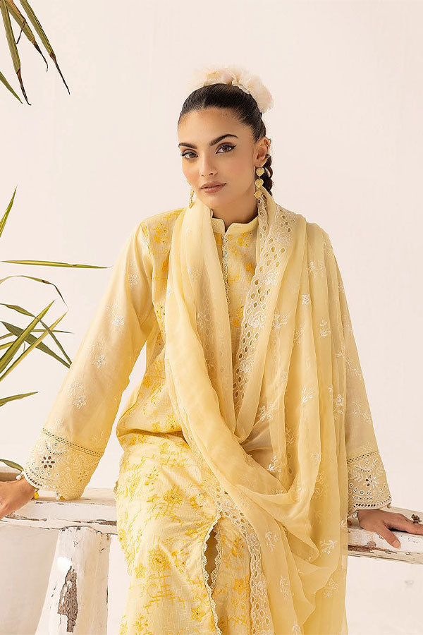 RA Mahees Shenaai Lawn'24 D#7