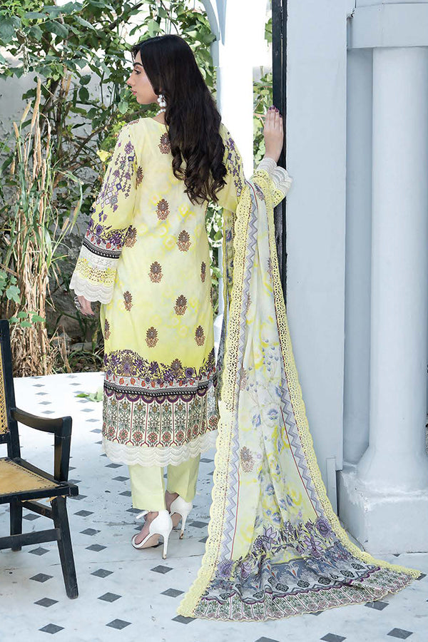 RA Mashal Digital Lawn'25 Vol-6 ML#1