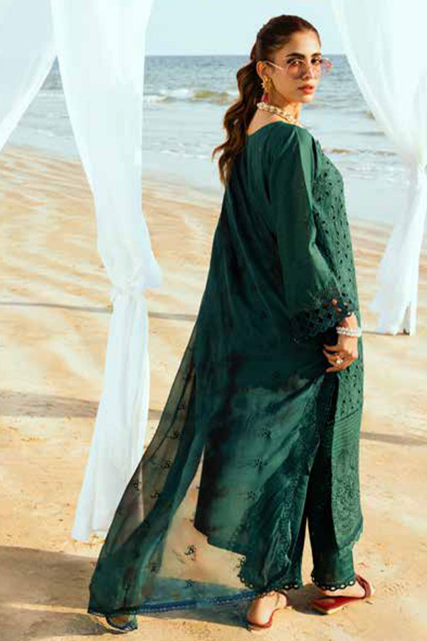 RA Tehzeeb C/Kari Lawn'25 TL#422