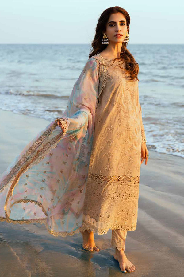 RA Tehzeeb C/Kari Lawn'25 TL#424