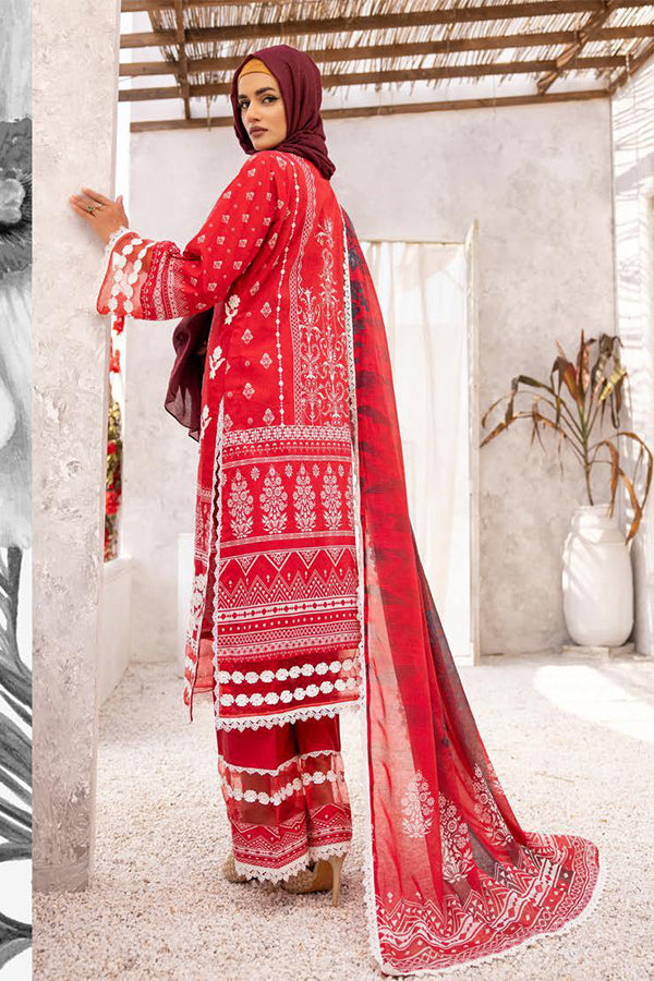 Ra Gul-e-Zarki Emb Shiffli`24 ZK#12