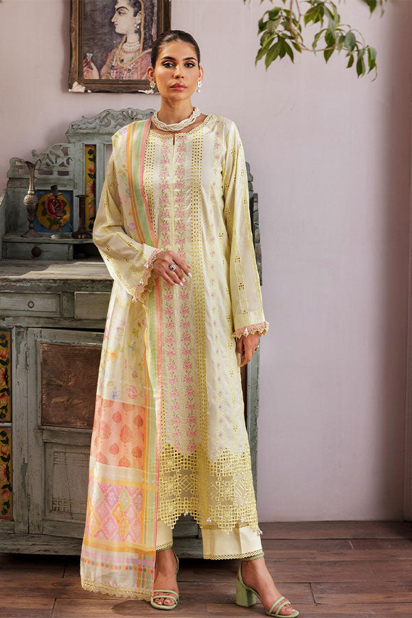 Rajbari Nissa Chikankari S/S Lawn'25 D#9