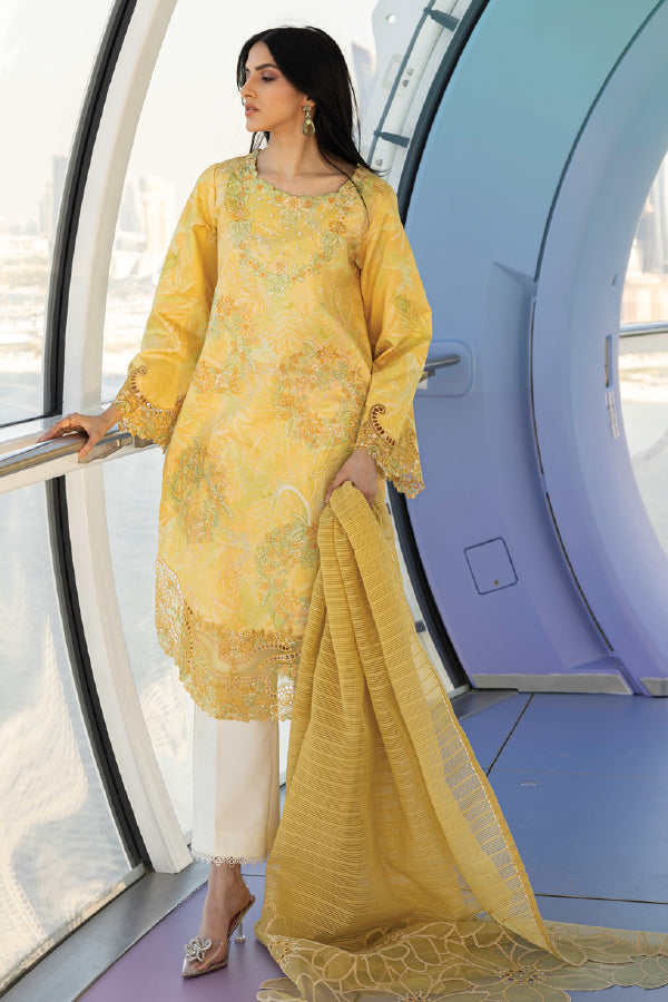 Rang Rasiya Carnation Summer Edit 2025 D-03