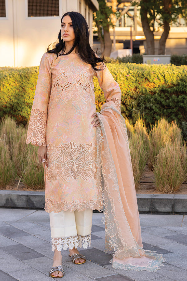 Rang Rasiya Carnation Summer Edit 2025 D-04