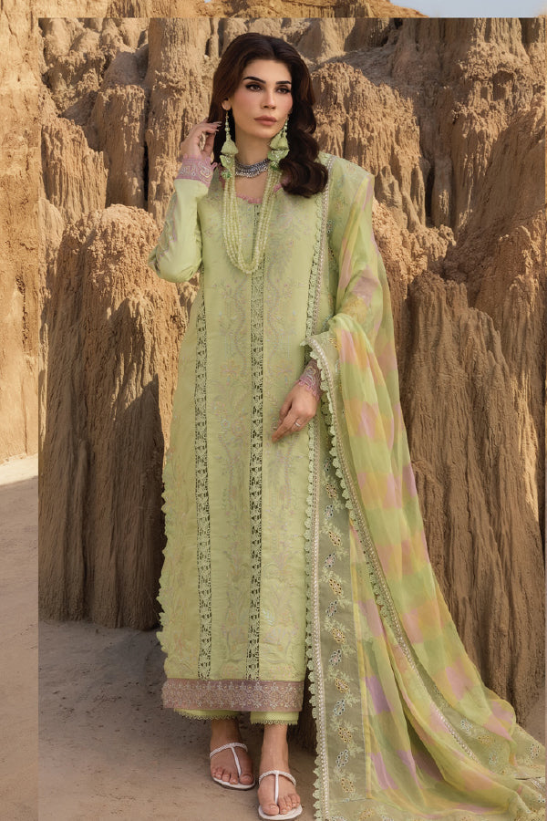 Rang Rasiya Premium Eid Collection 2025 D#10