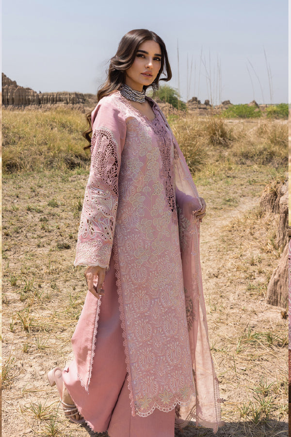Rang Rasiya Premium Eid Collection 2025 D#02