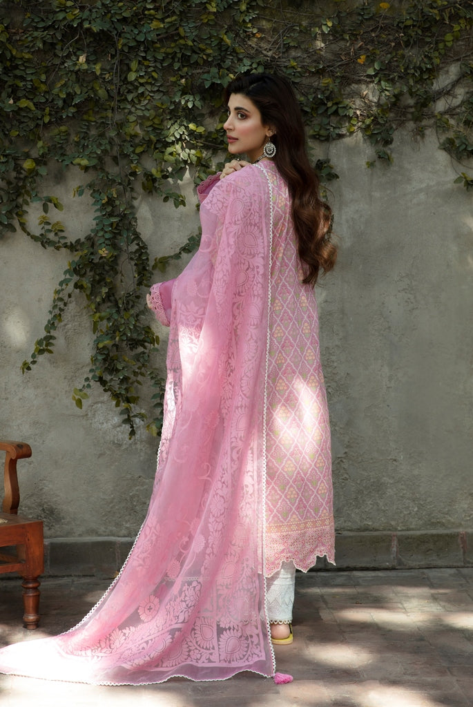 Aabyaan Sahiba L/Lawn'22 AE#11