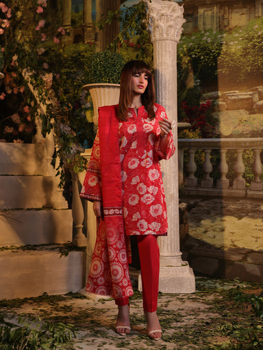 Salitex Zeb Lawn'24 D#2