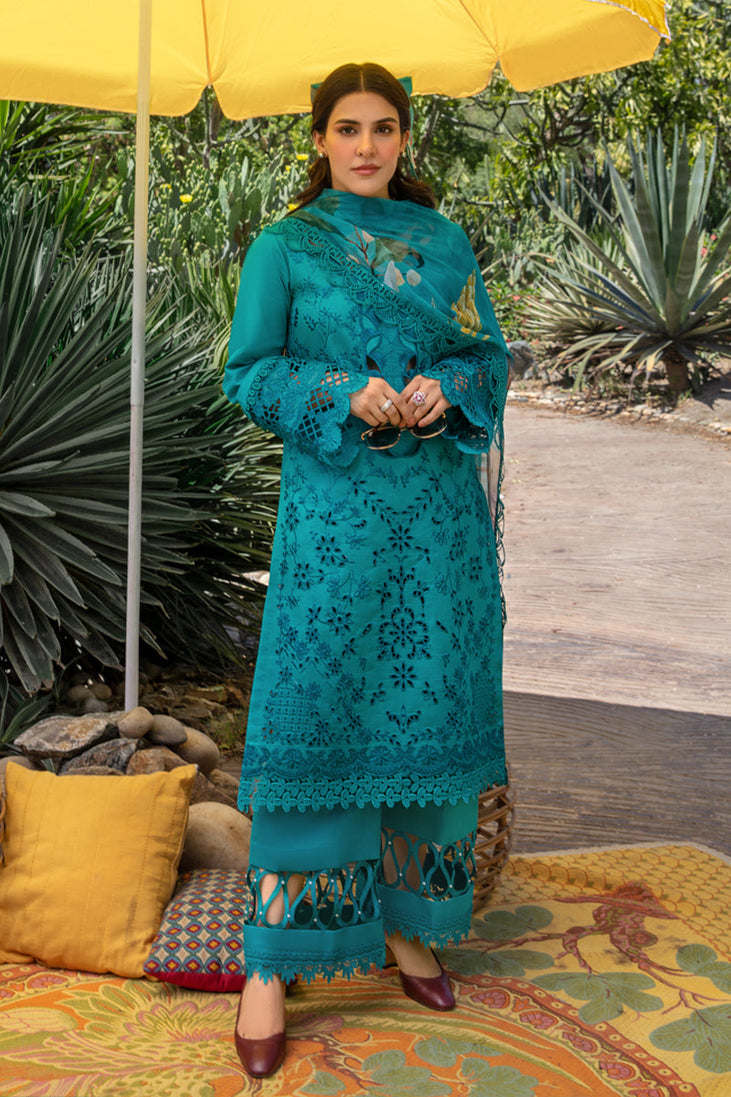 Rang Rasiya Carnation Festive`24 D#08