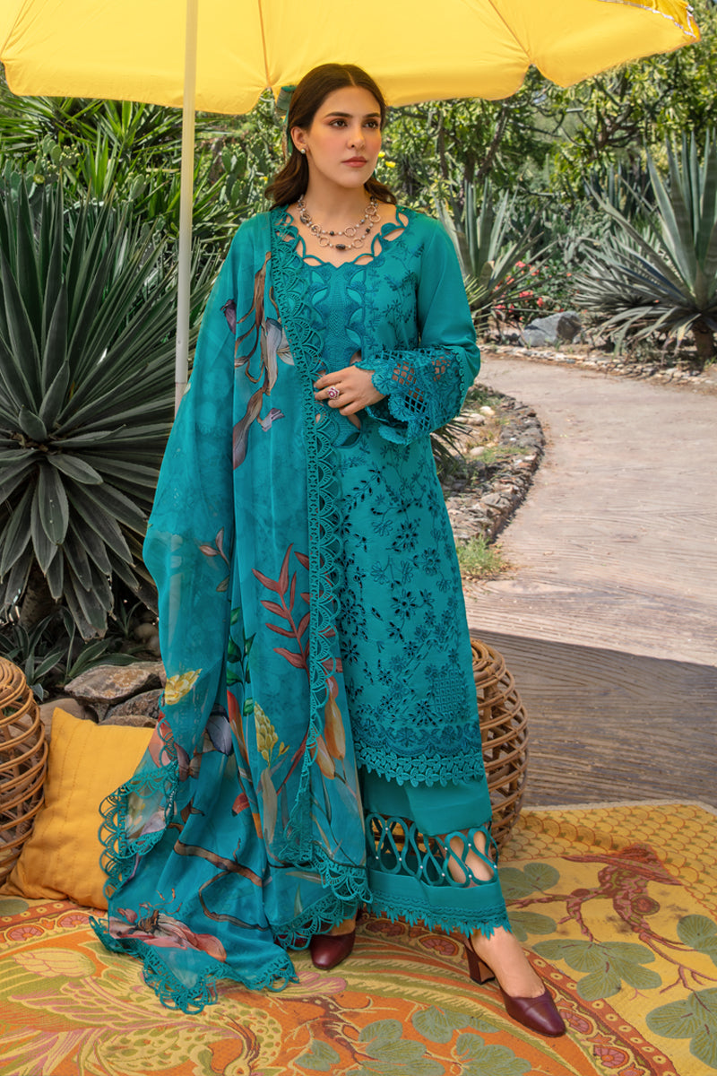 Rang Rasiya Carnation Festive`24 D#08