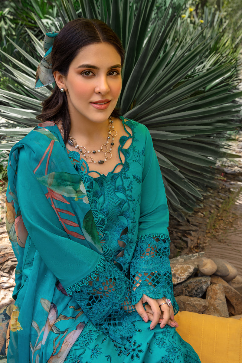 Rang Rasiya Carnation Festive`24 D#08