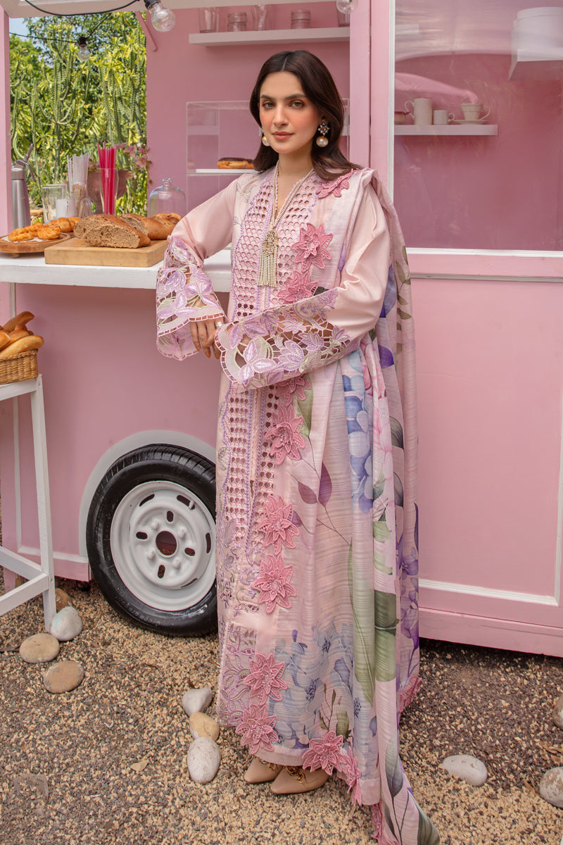 Rang Rasiya Carnation Festive`24 D#10