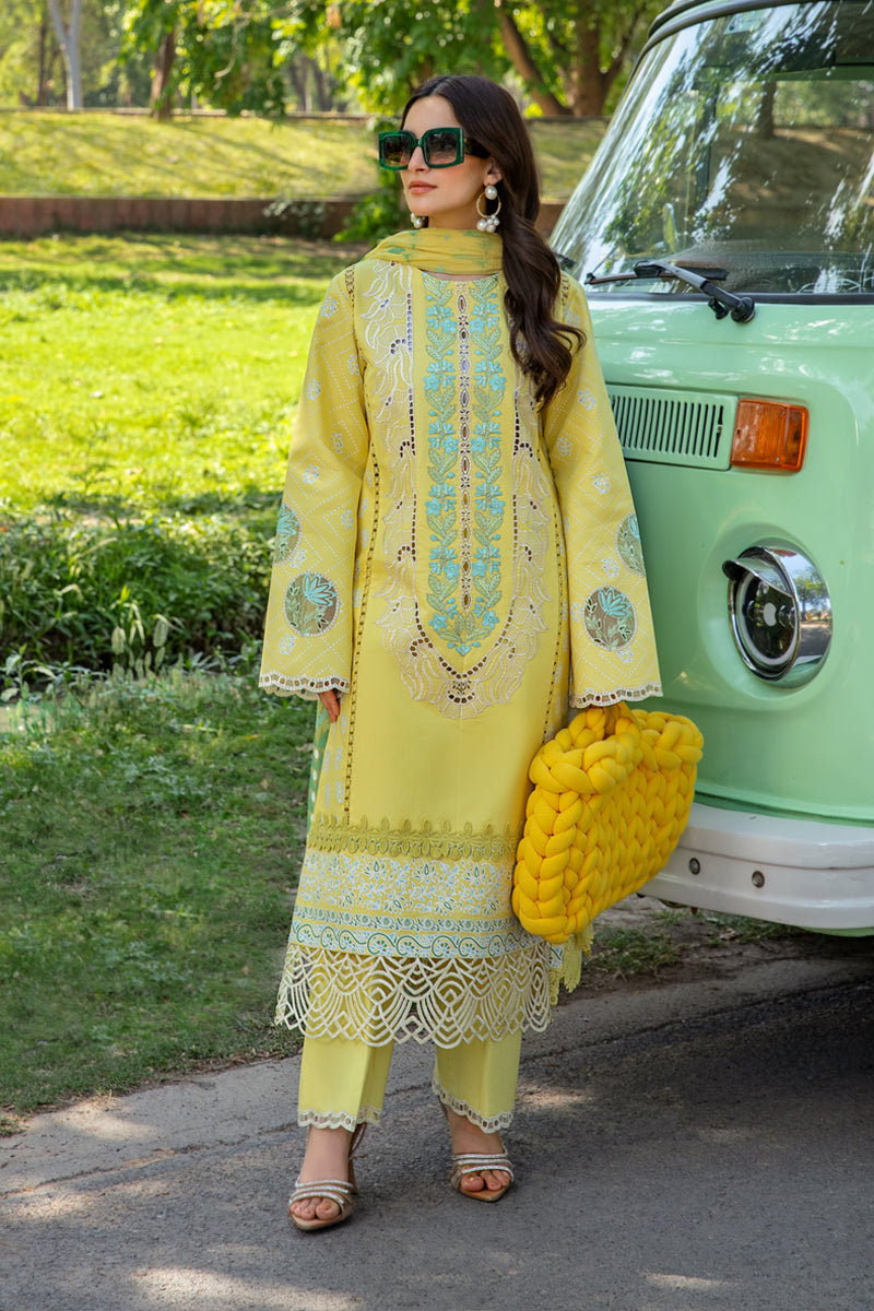 Rang Rasiya Carnation Festive`24 D#07