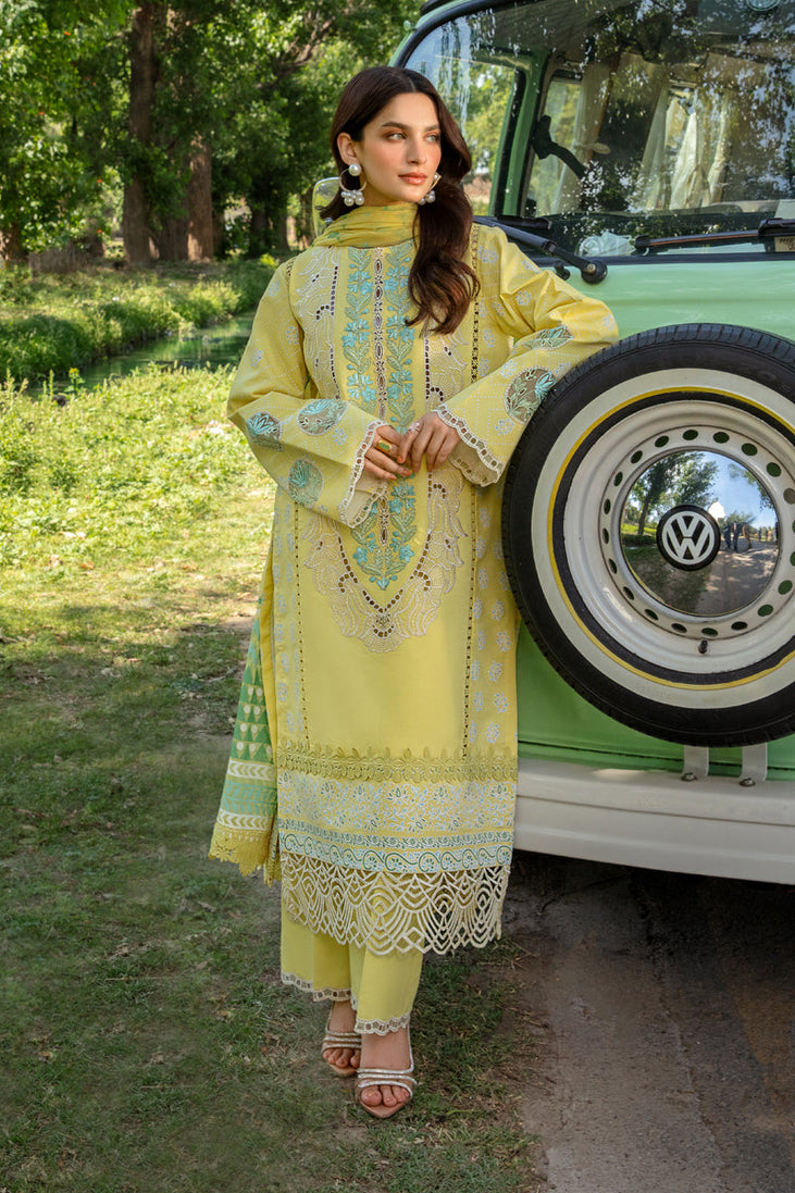 Rang Rasiya Carnation Festive`24 D#07