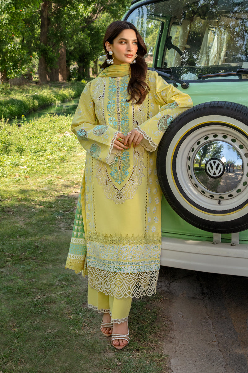 Rang Rasiya Carnation Festive`24 D#07