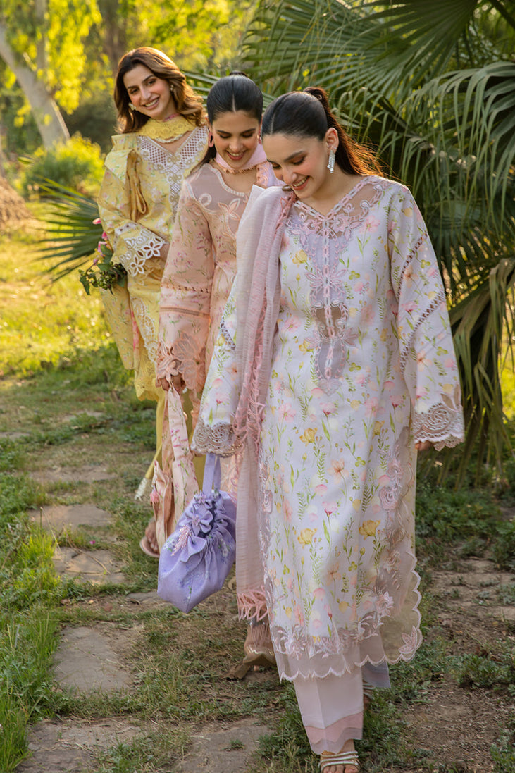 Rang Rasiya Carnation Festive`24 D#05