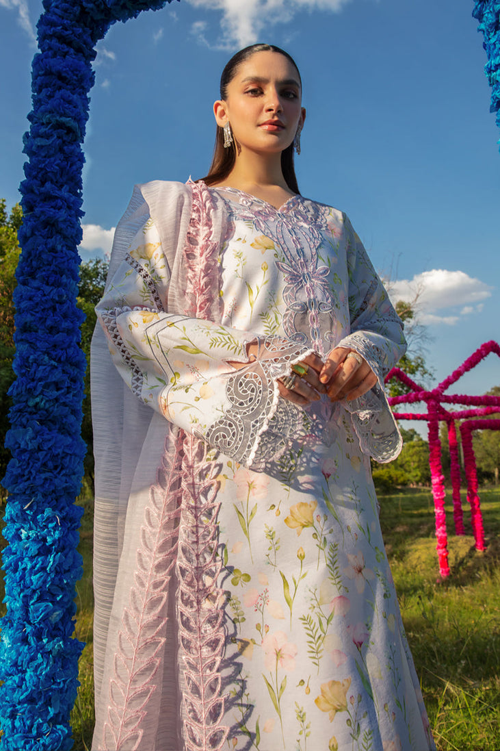 Rang Rasiya Carnation Festive`24 D#05