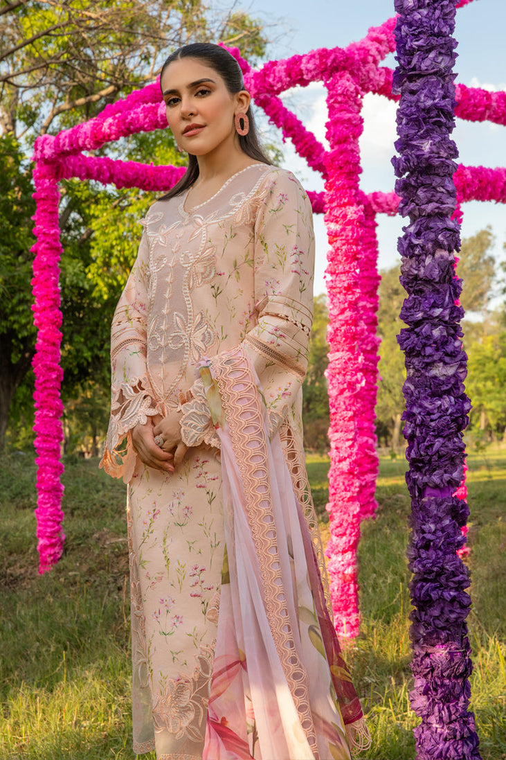 Rang Rasiya Carnation Festive`24 D#04