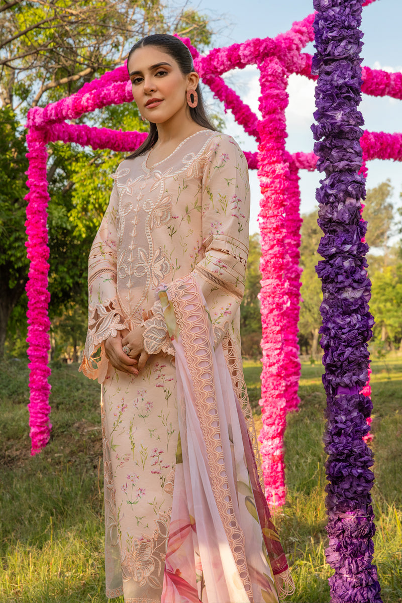 Rang Rasiya Carnation Festive`24 D#04