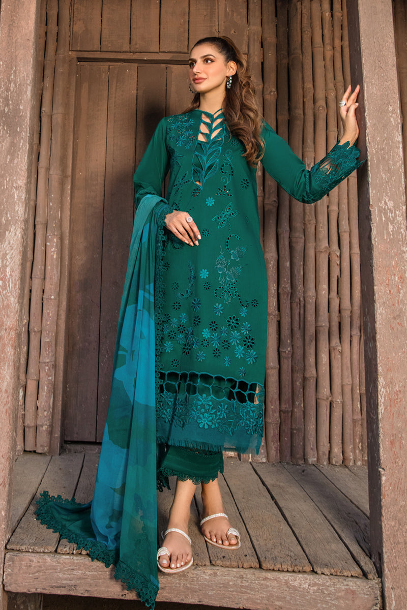 Rang Rasiya Carnation Festive`24 D#13