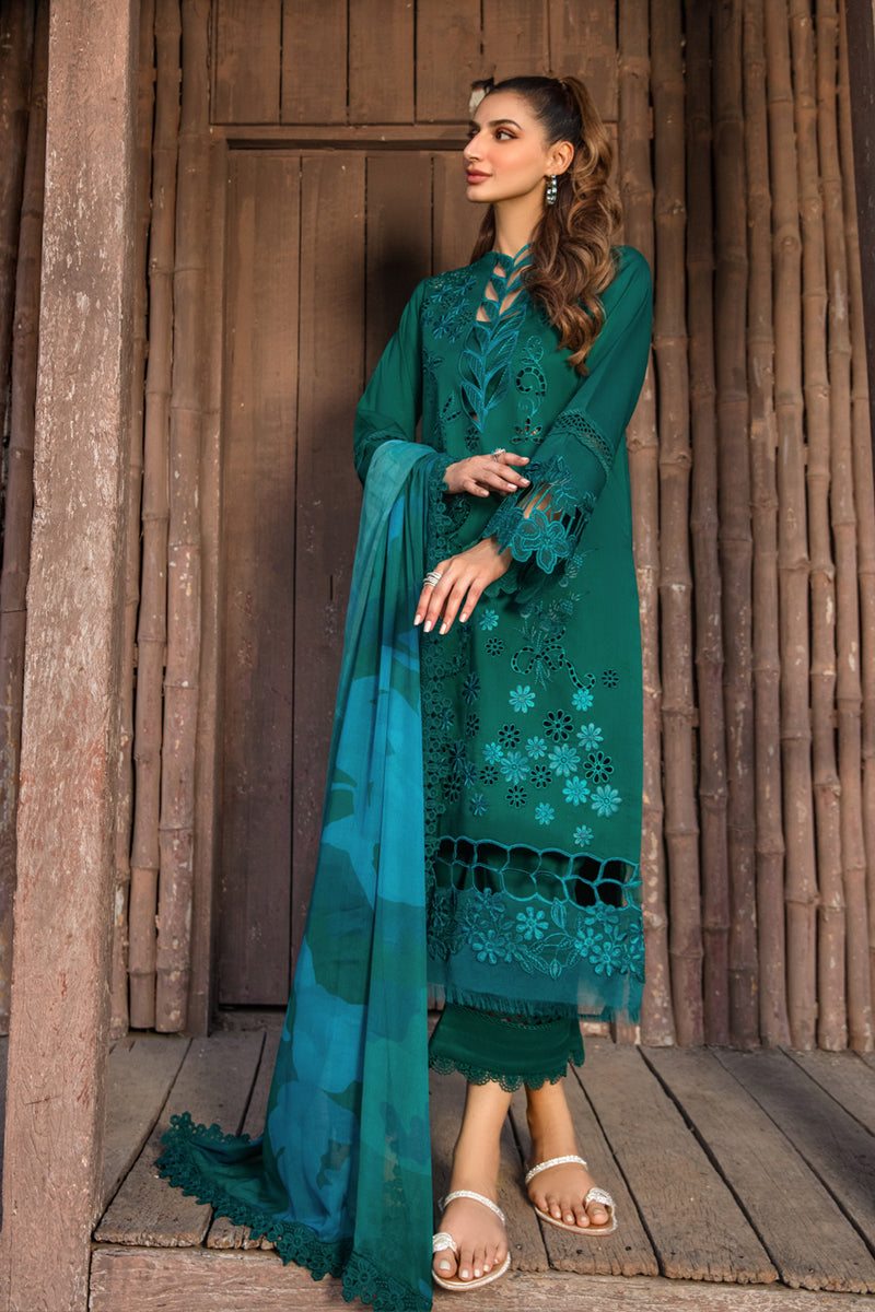 Rang Rasiya Carnation Festive`24 D#13