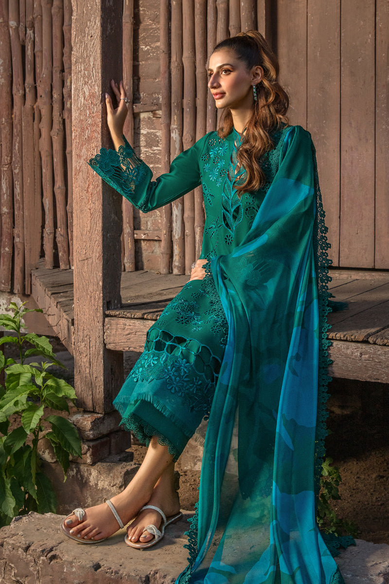 Rang Rasiya Carnation Festive`24 D#13