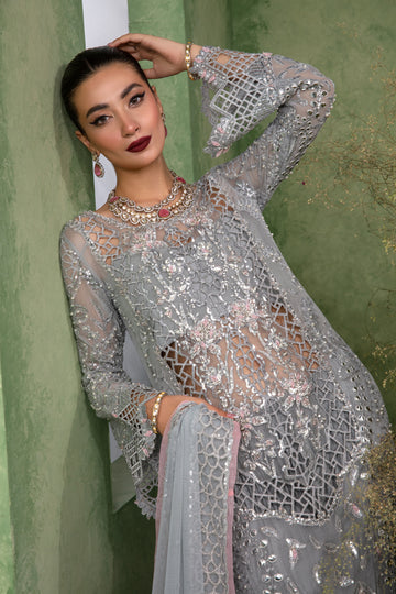 Rang Rasiya Chatoyer Formal`24 D#02 DEENA