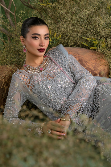 Rang Rasiya Chatoyer Formal`24 D#02 DEENA