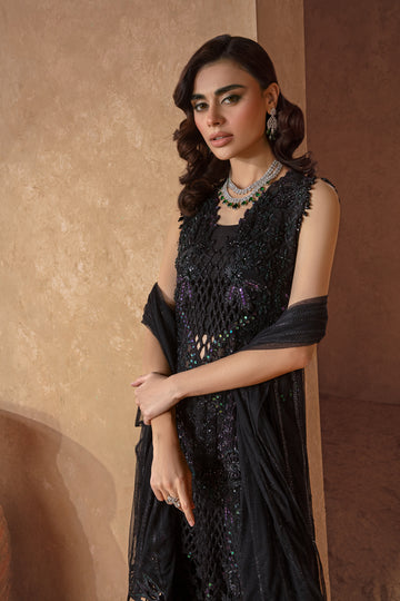 Rang Rasiya Chatoyer Formal`24 D#03 MIRA